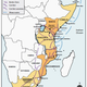 International drug trade: Mozambique’s drug trade disrupted by WhatsApp